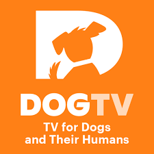DOGTV - TV for Dogs and Their Humans